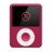 Nano Framboise plugged Icon